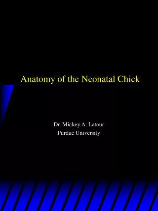 Anatomy of the Neonatal Chick