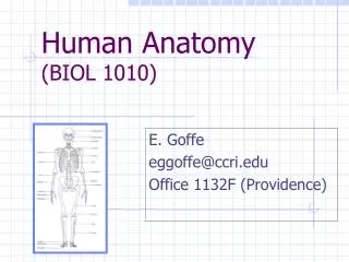 Human Anatomy (BIOL 1010)