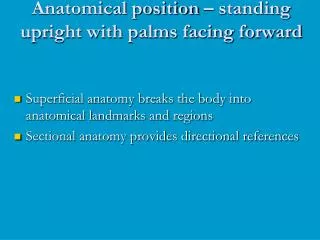Anatomical position – standing upright with palms facing forward