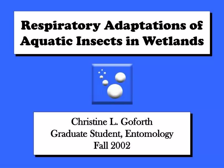respiratory adaptations of aquatic insects in wetlands