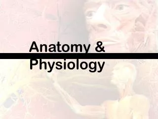 Anatomy &amp; Physiology