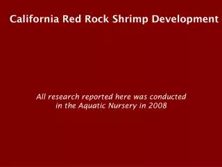 California Red Rock Shrimp Development