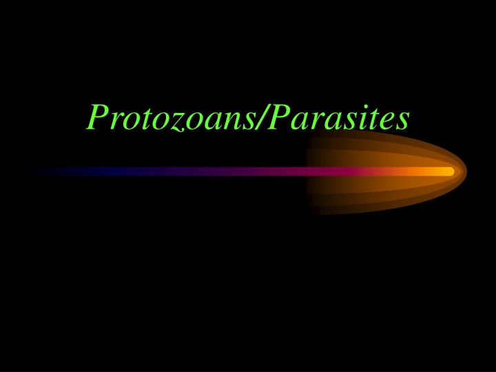 protozoans parasites