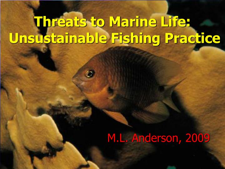 threats to marine life unsustainable fishing practice