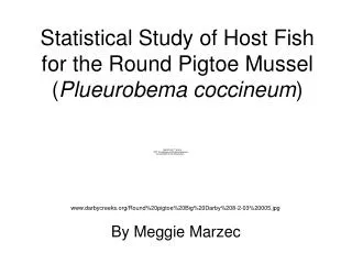Statistical Study of Host Fish for the Round Pigtoe Mussel ( Plueurobema coccineum )