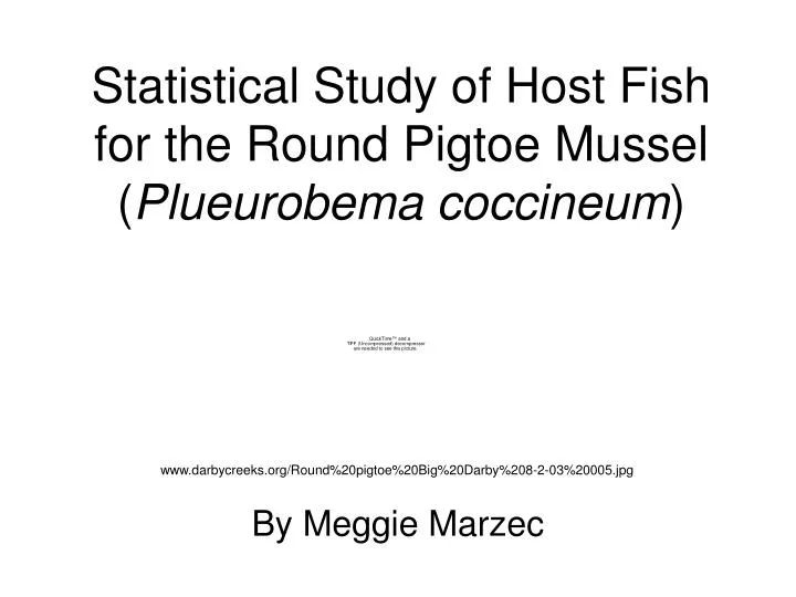 statistical study of host fish for the round pigtoe mussel plueurobema coccineum