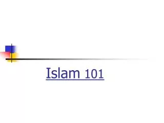 Concise introduction to Islam