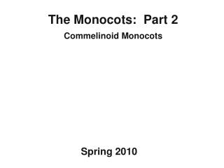 The Monocots: Part 2 Commelinoid Monocots