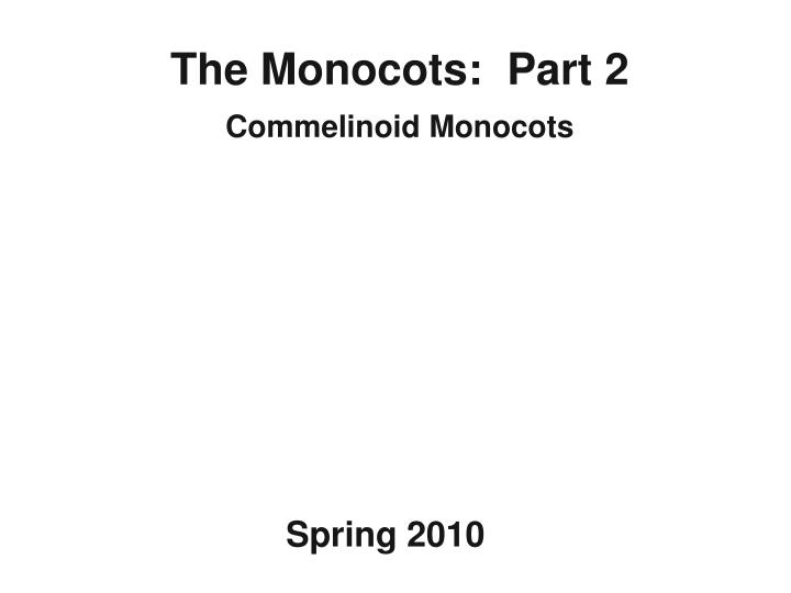 the monocots part 2 commelinoid monocots