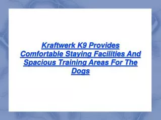 Kraftwerk K9 Provides Training Areas For Dogs