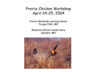 Prairie Chicken Workshop April 24-25, 2004 Prairie Wetlands Learning Center Fergus Falls, MN Bluestem Nature Conservancy