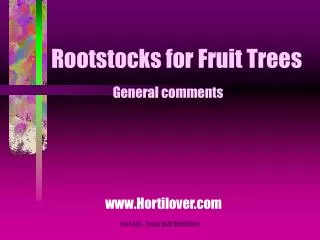 Rootstocks for Fruit Trees