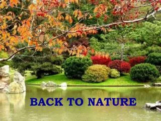 BACK TO NATURE