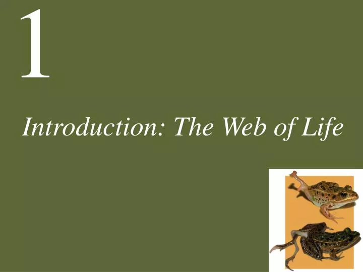 introduction the web of life