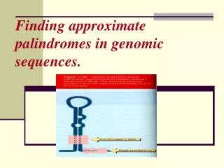 Finding approximate palindromes in genomic sequences.