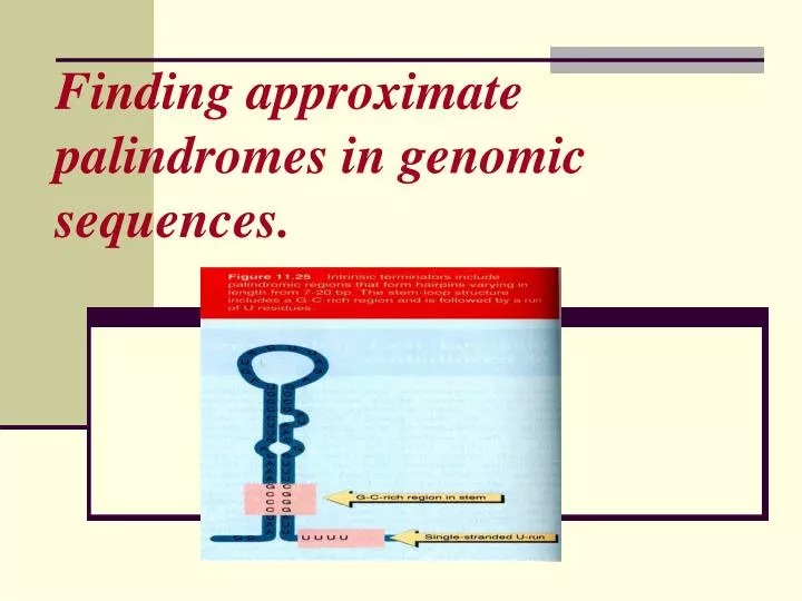 finding approximate palindromes in genomic sequences