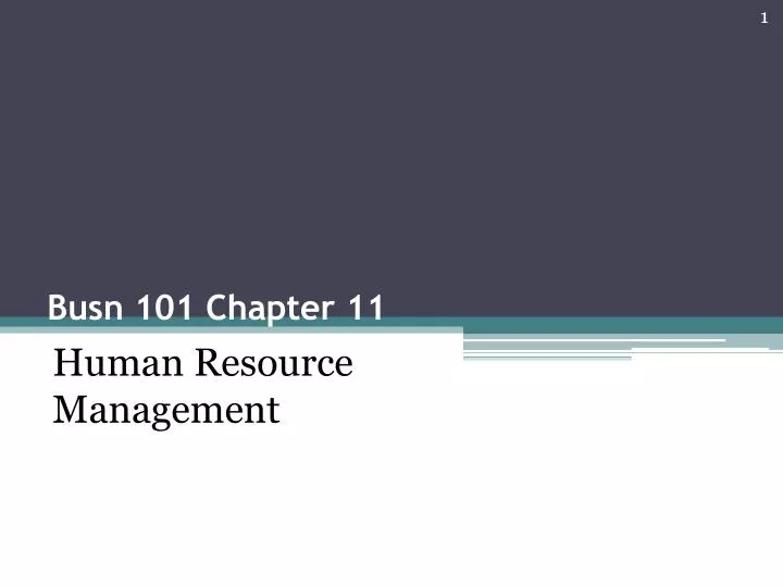 busn 101 chapter 11