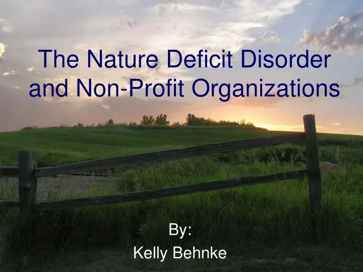 the nature deficit disorder and non profit organizations