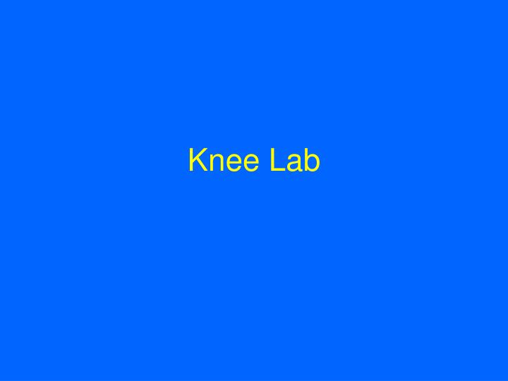 knee lab