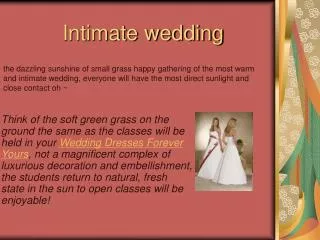intimate wedding