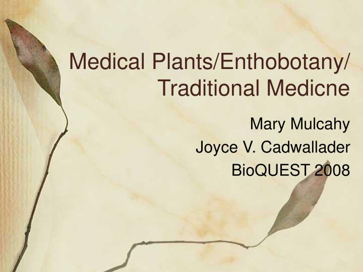 medical plants enthobotany traditional medicne