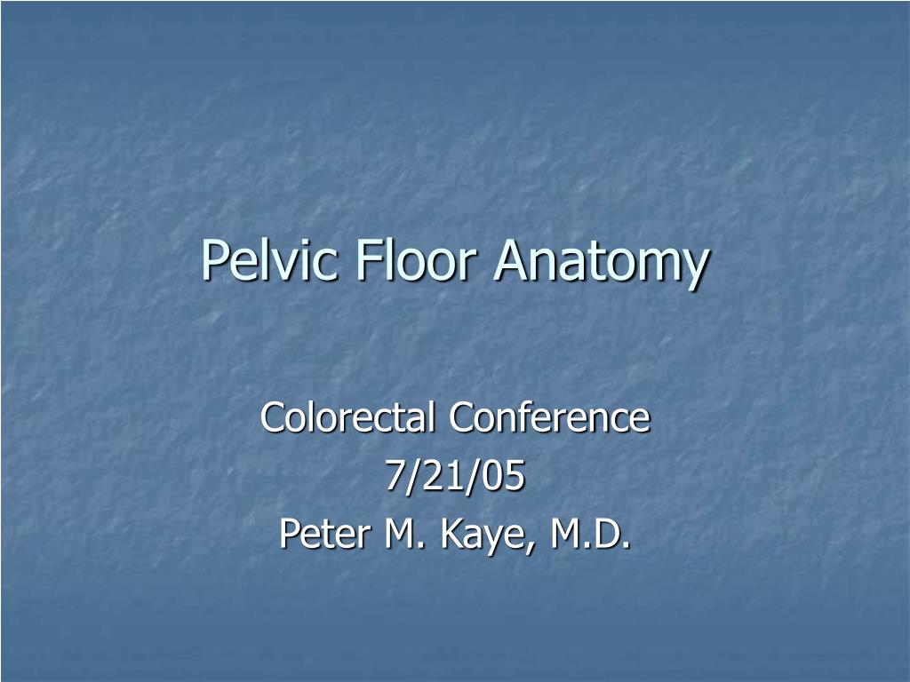 PPT - Pelvic Floor Anatomy PowerPoint Presentation, free download - ID ...