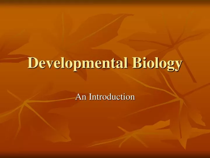 developmental biology