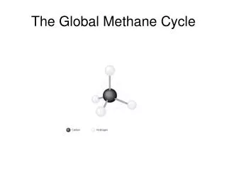 The Global Methane Cycle