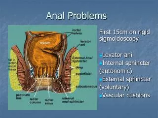 Anal Problems