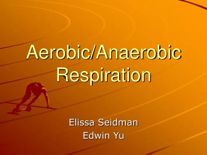 aerobic anaerobic respiration