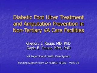 Diabetic Foot Ulcer Treatment and Amputation Prevention in Non-Tertiary VA Care Facilities
