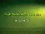 Single Nucleotide Polymorphism