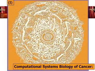 Computational Systems Biology of Cancer:
