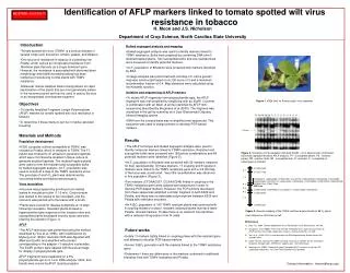 Identification of AFLP markers linked to tomato spotted wilt virus resistance in tobacco