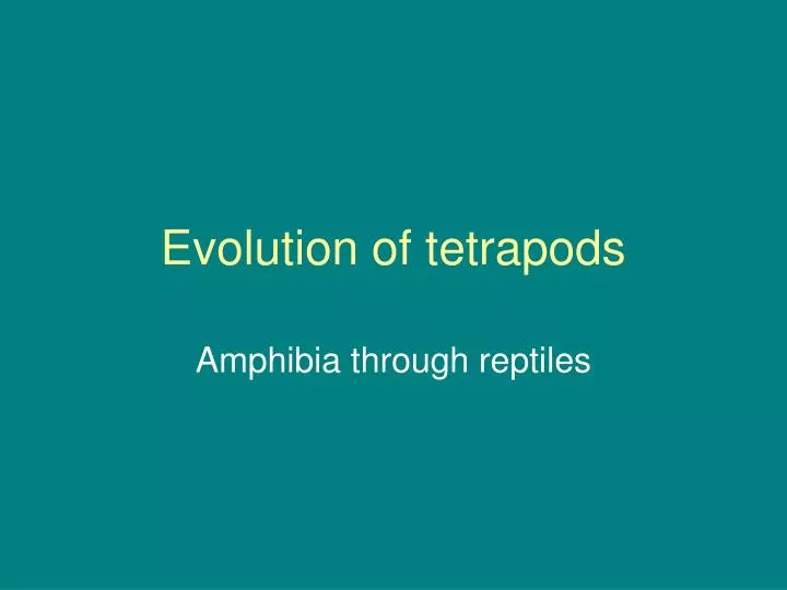 evolution of tetrapods