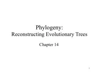 Phylogeny: Reconstructing Evolutionary Trees