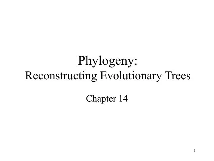 phylogeny reconstructing evolutionary trees