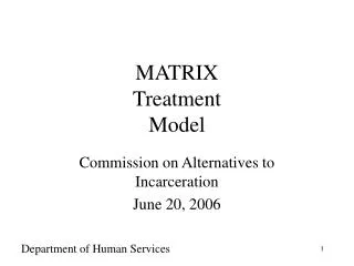 MATRIX Treatment Model