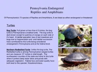 Pennsylvania Endangered Reptiles and Amphibians