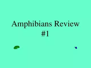 Amphibians Review #1