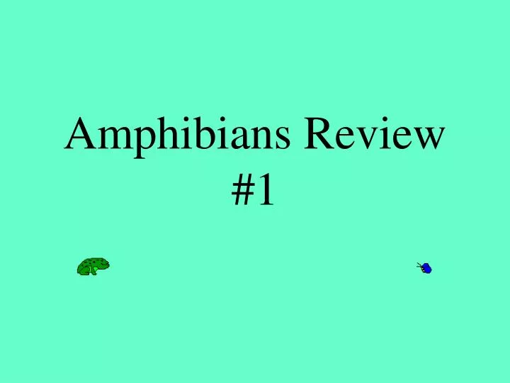 amphibians review 1