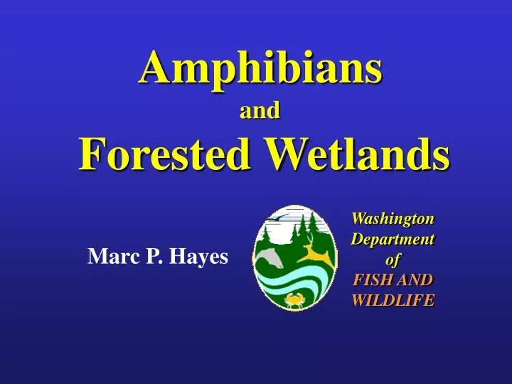 amphibians and forested wetlands