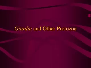 Giardia and Other Protozoa