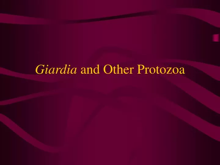 giardia and other protozoa