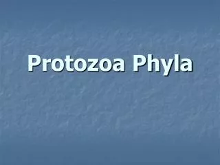 Protozoa Phyla