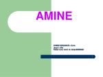 AMINE - slide 1