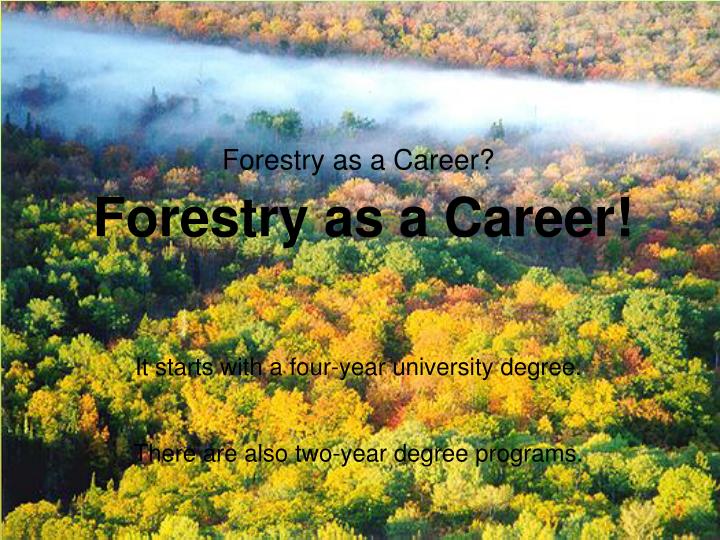 forestry as a career