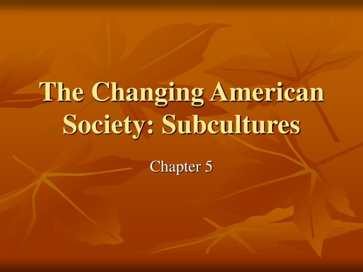 the changing american society subcultures