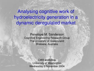 Analysing cognitive work of hydroelectricity generation in a dynamic deregulated market