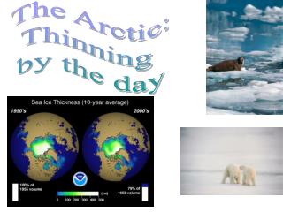 The Arctic: Thinning by the day
